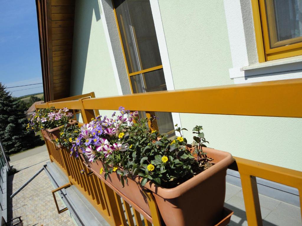 Gaestezimmer Rieder Staatz Номер фото