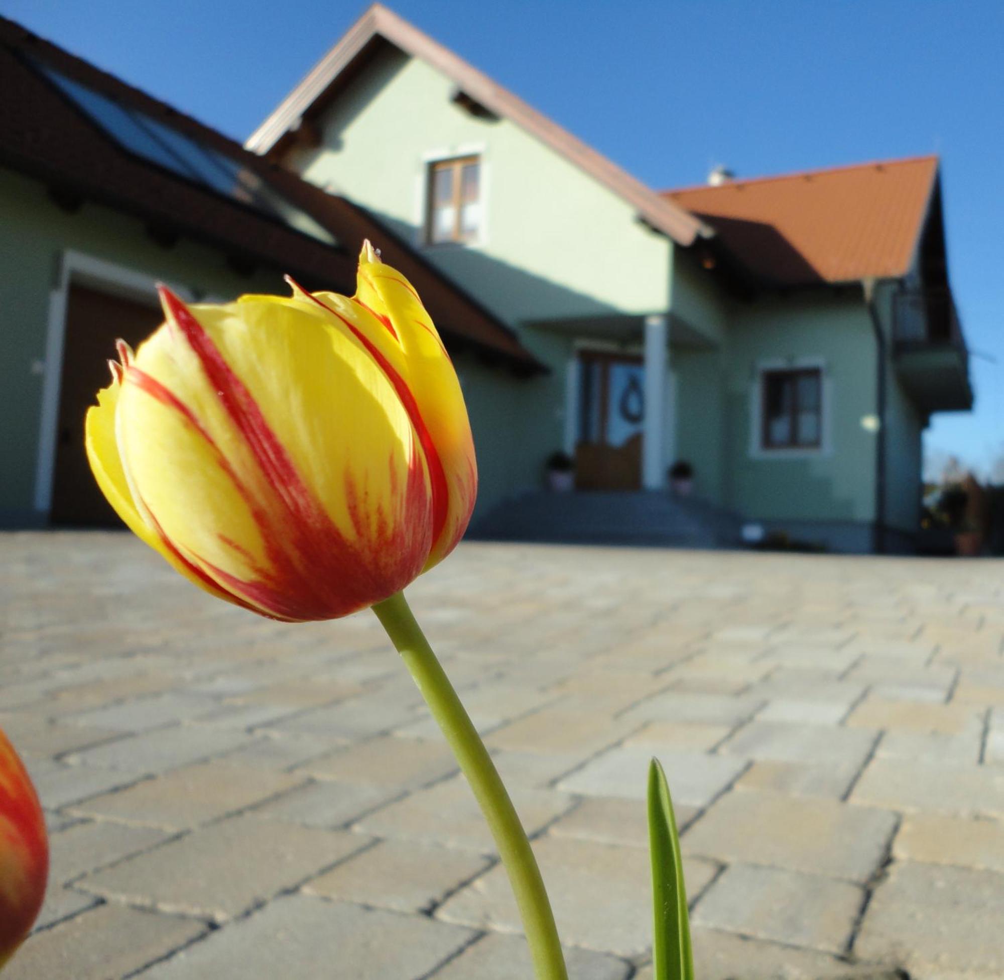 Отель Gaestezimmer Rieder Staatz Экстерьер фото