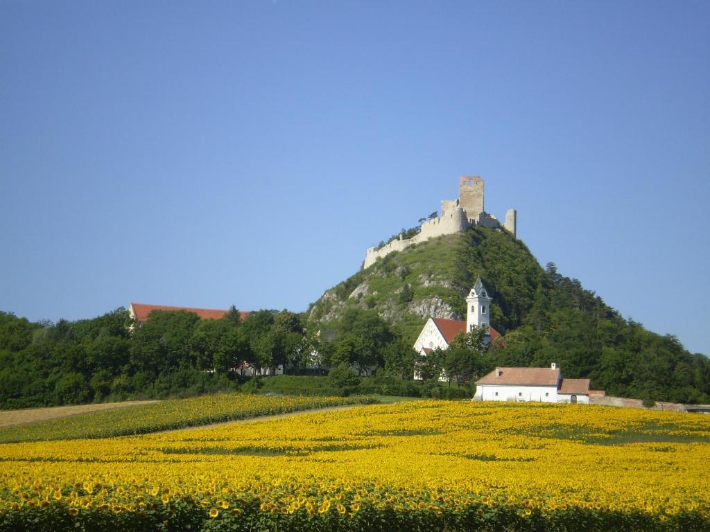 Отель Gaestezimmer Rieder Staatz Экстерьер фото